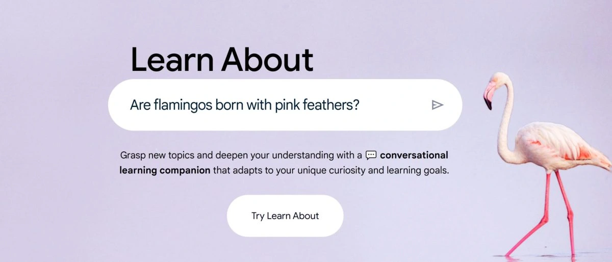 Google thử nghiệm AI ‘Learn About’ hỗ trợ việc học tập