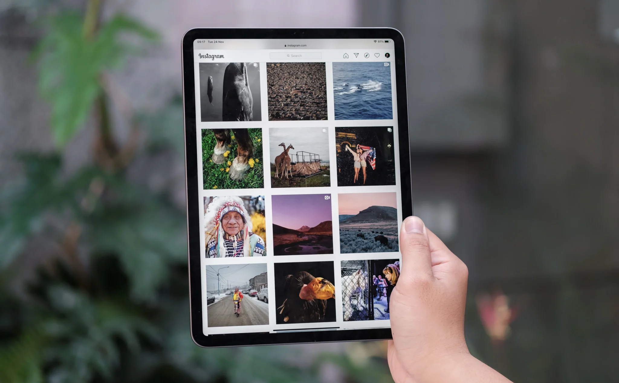Ứng dụng Instagram cho iPad sắp ra mắt sau 15 năm chờ đợi